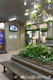 1F緑いっぱいのベンチ